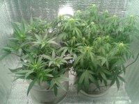 2021-04-18 14.46.38.jpg