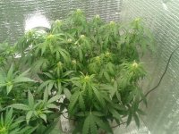 2021-04-18 14.46.10.jpg