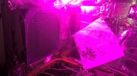 WP_20210418_21_50_20_Pro.jpg