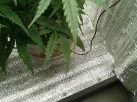 2021-04-19 18.19.48.jpg