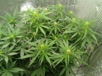 2021-04-19 18.19.36.jpg