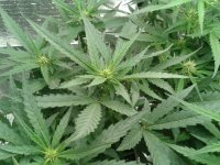 2021-04-19 18.20.06.jpg