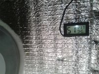 2021-04-20 16.25.29.jpg