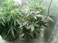 2021-04-20 16.24.49.jpg