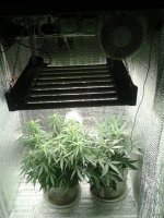 2021-04-20 21.10.40.jpg