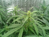 2021-04-20 21.11.16.jpg