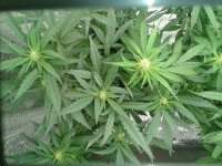 2021-04-22 15.46.48.jpg