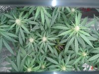 2021-04-22 15.47.18.jpg