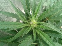 2021-04-22 15.48.28.jpg