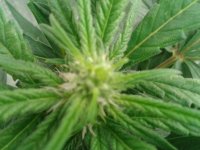 2021-04-22 15.48.45.jpg