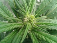 2021-04-22 15.48.58.jpg