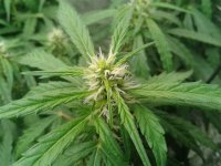 2021-04-22 15.49.15.jpg