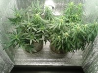 2021-04-22 15.44.01.jpg