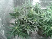 2021-04-22 15.44.53.jpg