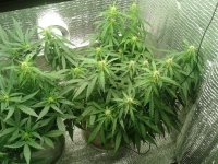 2021-04-22 15.45.06.jpg