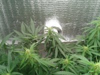 2021-04-22 15.45.20.jpg