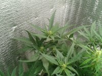 2021-04-22 15.45.32.jpg