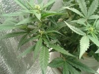 2021-04-22 15.45.41.jpg