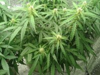 2021-04-22 15.45.54.jpg