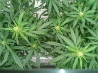 2021-04-22 15.46.10.jpg