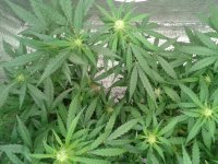 2021-04-22 15.46.31.jpg