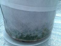 2021-04-22 19.51.12.jpg