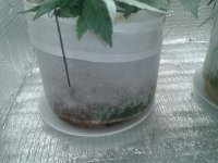 2021-04-22 19.51.51.jpg