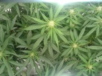 2021-04-22 19.48.37.jpg