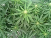 2021-04-22 19.48.54.jpg