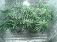 2021-04-22 19.48.19.jpg