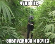 40e584d9c742ebe2ab6b0ba2d229c932.jpg