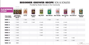 Адвансы бегинер.JPG