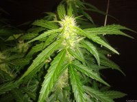 2021-04-24 15.46.22.jpg