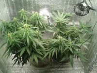 2021-04-24 16.22.04.jpg