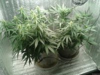 2021-04-24 16.24.26.jpg