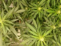 2021-04-24 16.22.53.jpg