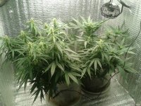 2021-04-24 16.24.16.jpg