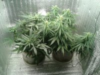 2021-04-25 16.27.44.jpg