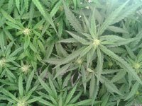 2021-04-24 03.54.29.jpg