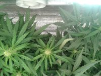 2021-04-24 03.55.10.jpg