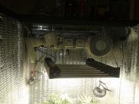 2021-04-24 05.37.31.jpg