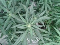 2021-04-24 05.40.07.jpg