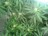 2021-04-24 05.40.35.jpg