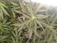 2021-04-24 05.41.13.jpg