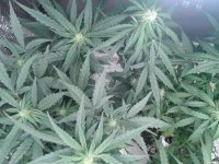 2021-04-24 05.41.32.jpg