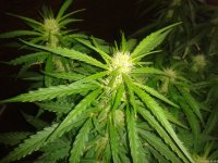 2021-04-24 15.46.40.jpg