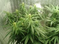 2021-04-24 16.22.17.jpg