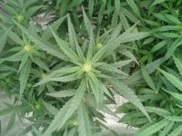 2021-04-24 16.23.17.jpg