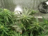 2021-04-24 16.23.40.jpg