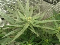 2021-04-25 01.56.10.jpg